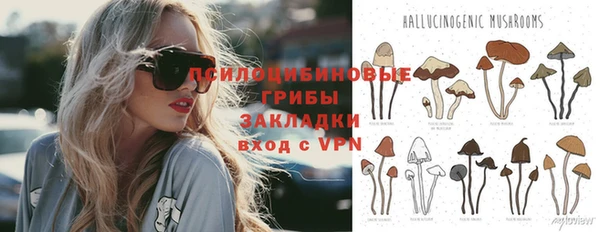 трава Верея